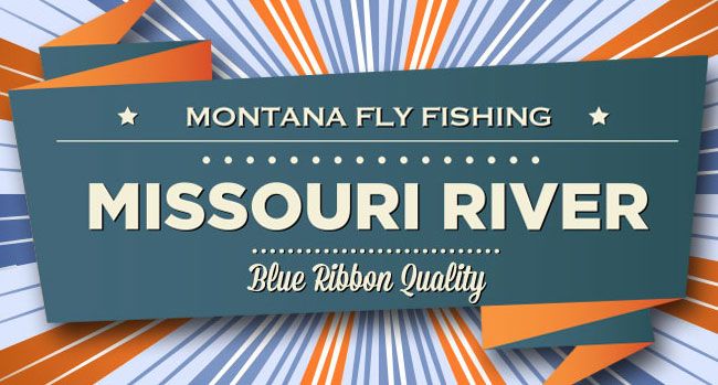 Fly Fishing Missouri River Montana Brown Rainbow Trout