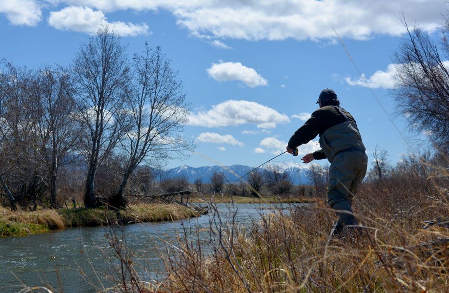 montana trout wranglers fisherman riverbank