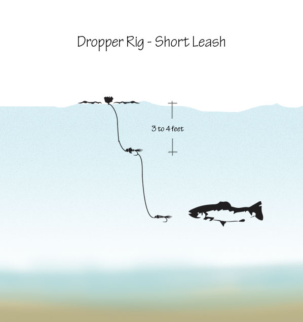 fly-fishing-guides-montana-dropper-fish-short-leash