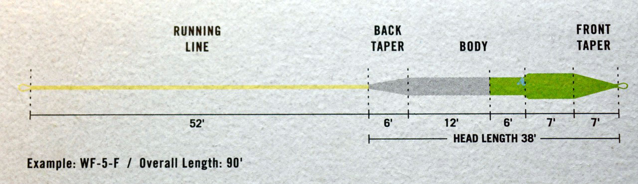 fly line graphic