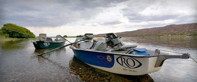 mtw argentina 2016 ro boats