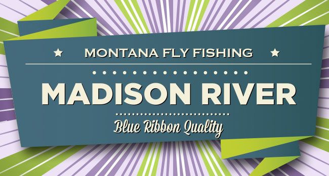 Fly Fishing Madison River Quake Lake Montana Brown Rainbow Trout