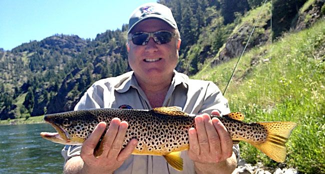 Fly Fishing Missouri River Montana Brown Rainbow Trout