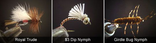 Fly Fishing Flies Royal Trude $3 Dip Nymph Girdle Bug
