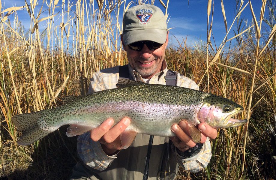 montana trout wranglers man fish